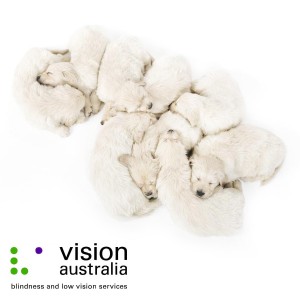 business-photography visions-australia-corporate-photography